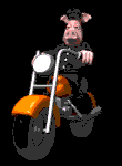 http://www.jefflux.homestead.com/animal_biker_riding_motorcycle_md_blk_3932.gif